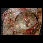 Breathing Inside the Treasure detail 10x12 in.jpg